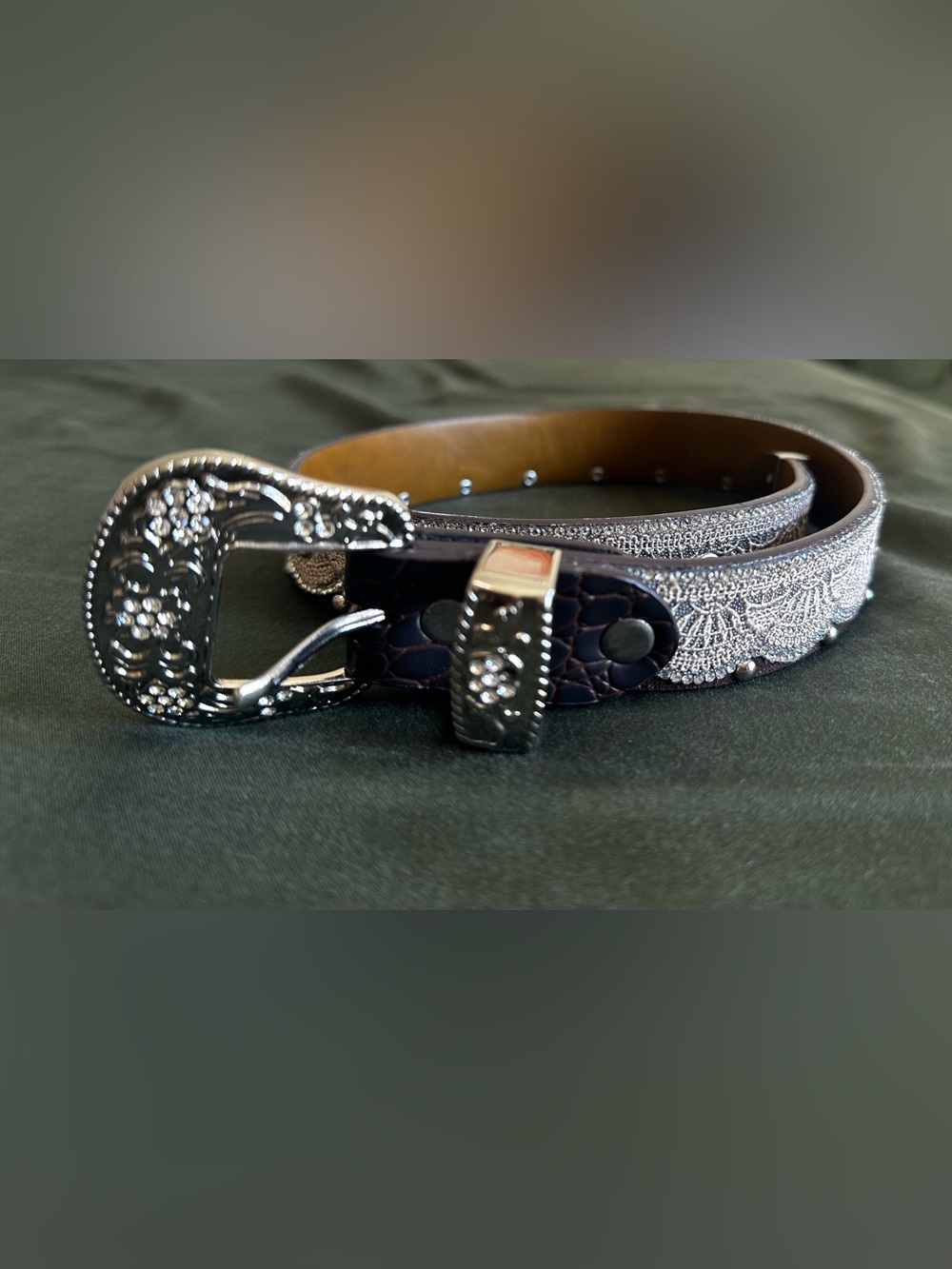 Source Unknown Silver and Brown Girls' Decorative Belt